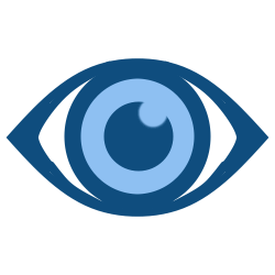 Vision